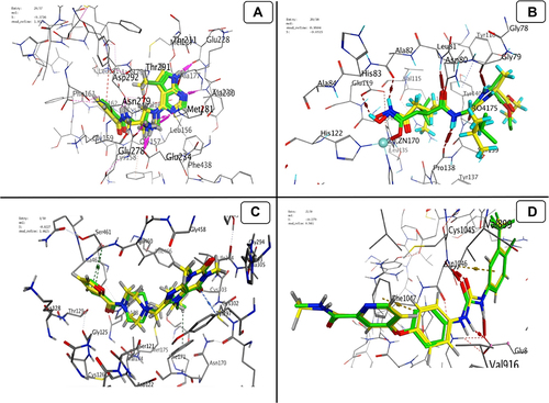 Figure 11 Validation process for docking (WFE, RO4, 3SR and BAX) into (A) AKT Kinase; (B) MMP1; (C) ALDH1; (D) VEGF, respectively. Co-crystallized ligand with green colour and the docked molecule with yellow colour.