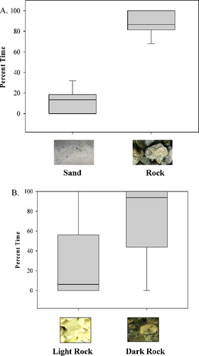 Figure 2. Box plots illustrating the average percent time for each individual brook trout in trials with both light and dark substrates available. (A) Trials conducted with light sand and dark rock; (B) trials conducted with light and dark rocks.