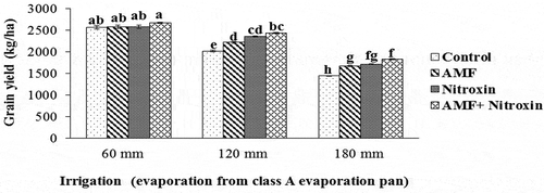 Figure 14. Interaction effect of irrigation and inoculation with bio-fertilizers on grain yield of sorghum. Values represent means ± SE. Different letters indicate significant differences using LSD test (P <.05)