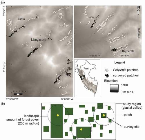 Figure 2. Map of the five valleys studied within Cordillera Blanca, Peru. A total of 59 patches were included, ranging from 0.01 ha to 200 ha (a). Diagram of the patch and landscape attributes measured in our study (b)