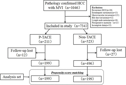 Figure 1 Flow chart of patients’ enrollment from the primary liver cancer big data.