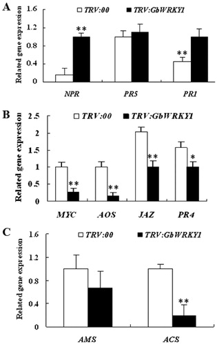 Figure 3. Detection of genes related to signalling pathways for SA (A), JA (B) and ET (C) in TRV:00 and TRV:GbWRKY1 plants. Note. Error bar represents standard deviation for 3 independent experiments; three technical replicates were used in qRT-PCR analysis.
