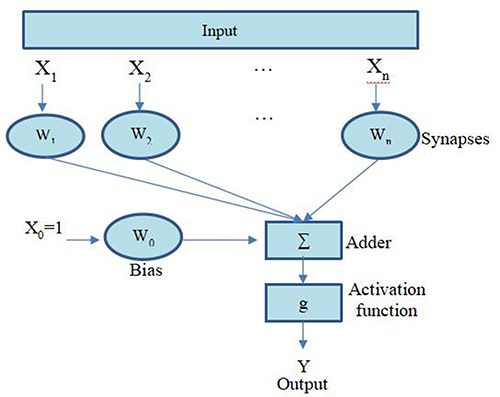 Figure 4 Neuron architecture.