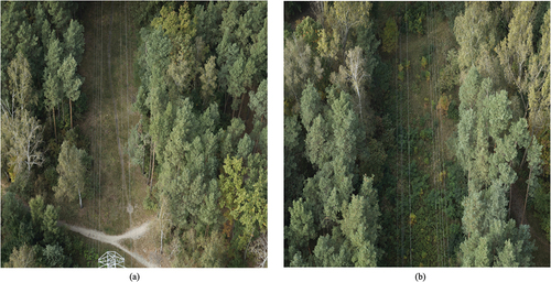 Figure 3. Samples of the resized images from the front PhaseOne camera in front and rear direction.