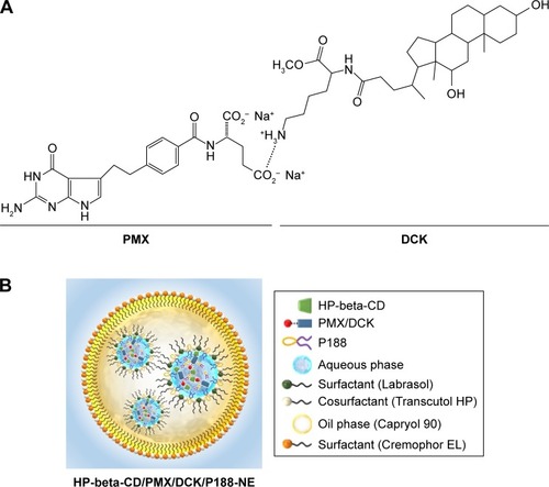 Figure 1 (A) Structural diagram of the ion-pairing complex between PMX and DCK. (B) Schematic representation of HP-beta-CD/PMX/DCK/P188-NE. HP-beta-CD/PMX/DCK/P188, ion-pairing complex between PMX and DCK containing HP-beta-CD and P188; HP-beta-CD/PMX/DCK/P188-NE, HP-beta-CD/PMX/DCK/P188-loaded nanoemulsion; PMX/DCK, ion-pairing complex between PMX and DCK.Abbreviations: DCK, Nα-deoxycholyl-l-lysyl-methylester; HP-beta-CD, 2-hydroxypropyl-beta-cyclodextrin; NE, nanoemulsion; PMX, pemetrexed; P188, poloxamer 188.