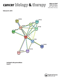 Cover image for Cancer Biology & Therapy, Volume 20, Issue 8, 2019