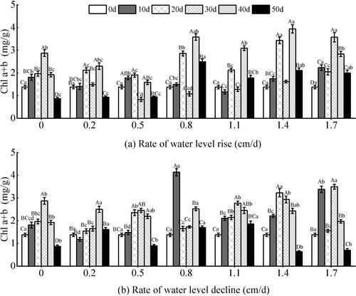 Figure 10. Effect of water level change on chlorophyll (a + b) (Chl a + b) of V. natans. Different capital letters indicate the difference between the same change rate and different test times, and different lowercase letters indicate the difference between the same test time and different change rates.