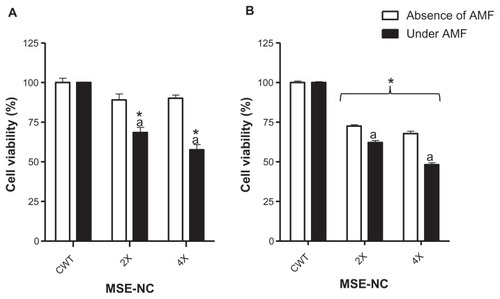 Figure 9 Effects of MSE-NC treatment with or without subsequent exposure to the AMF on the viability of the 4T1 (A) and MCF-7 (B) cell lines.Notes: Data were normalized with the untreated control exposed or not to AMF and expressed as percentage of the mean ± SEM of three independent experiments performed in triplicate. *Denotes the statistical difference for the CWT; adenotes the statistical difference with respect to the same MSE-NC concentration, but without AMF application; P < 0.05. The values are as follows: 2X = 50 μg/mL of selol + 2.5 × 109 particles/mL; 4X = 100 μg/mL of selol + 5 × 109 particles/mL.Abbreviations: MSE-NC, nanocapsules loaded with magnetic nanoparticles and selol; CWT, control without treatment; AMF, alternating magnetic field.