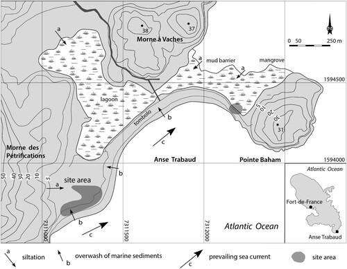 Figure 2. Topographic map of Anse Trabaud, with insert map of Martinique showing the locations of the site areas (Figure by Menno Hoogland).