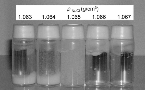 FIG. 3 Photograph of 100 nm PSL particles immersed in density reference liquids after settling for 30 days.