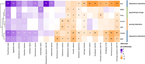 Figure 2. Bacterial species associated with internalizing disorders and psychotropic drugs.