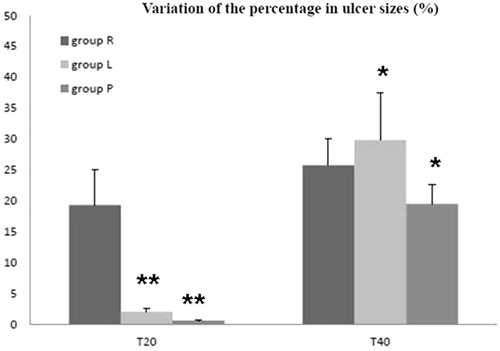Figure 2. The comparison of ulcer sizes among the three groups at T20 and T40, respectively. The results were expressed as variation of the percentage in ulcer sizes and related to the basal value (T0), whereas the data represent mean ± SD. At T20, variation of the percentage of ulcer size in group R was significantly higher than that in groups L and P. Concurrently, the value in group L made no difference referred to group P. At T40, although there was no difference between groups R and L, both of them showed more effective in decreasing the areas of ulcer than group P. *p < 0.05 and **p < 0.01. Group R: n = 10; group L: n = 10; and group P: n = 6. T20 and T40 means after 20 and 40 d from starting the HBO therapy, respectively.