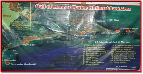 Figure 4. Location of Gulf of Manner.