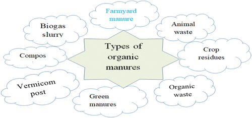 Figure 1. Common types of organic manure.