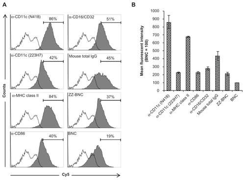 Figure 2 Flow cytometric analysis of ex vivo attachment of α-DC-ZZ-BNCs complexes to splenic DCs. (A) Accumulation of Cy5-labeled α-DC-ZZ-BNC complexes to isolated splenic DCs. Splenic DCs were incubated with each Cy5-labeled α-DC-ZZ-BNC complex and subjected to flow cytometric analysis. Fractions of DCs were pre-defined by the forward scatter/side scatter dot plots derived from CD11c+ cells. Distributions of Cy5-derived fluorescence in ZZ-BNC-incubated DCs and untreated DCs are indicated as closed and open histograms, respectively. Antibodies against DCs are shown in the upper left of each panel. The percentages (%) of ZZ-BNC+ cells in DCs are indicated as numbers. (B) Mean fluorescent intensities of the Cy5-labeled α-DC-ZZ-BNC complexes in DCs.Notes: Mean fluorescent intensity derived from DCs incubated with Cy5-labeled BNCs was defined as 100. Measurements were performed in triplicate. Error bars represent the SD.Abbreviations: DC, dendritic cell; ZZ-BNC, BNC displaying ZZ domains; DC, dendritic cell; SD, standard deviation.