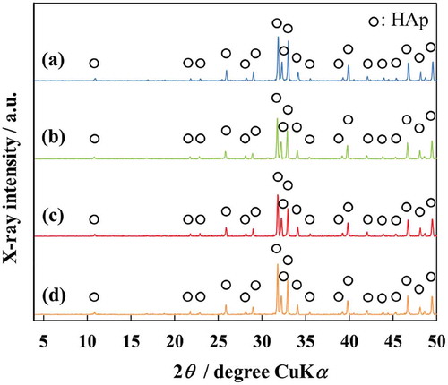 Figure 1. XRD patterns of scaffolds: (a) AFS100, (b) AFS300, (c) Si-AFS100, and (d) Si-AFS300.