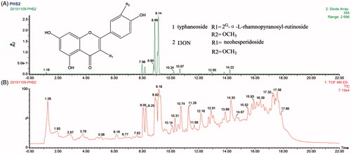 Figure 1. The chromatograph chart at 354 nm (A) and the (−)-ESI total ion current (B) of Typha angustifolia.