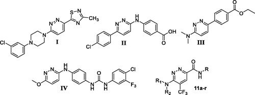 Figure 2. Chemical structure for some 3,6‐disubstituted pyridazine derivatives reported as efficient anticancer small molecules.