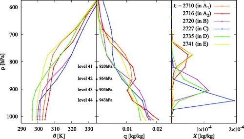 Fig. 7. Vertical profiles of the potential temperature θ, the specific humidity q, and the cloud liquid water content X, averaged for the dry-subsiding region, at the time instants of Fig. 6 (also marked in Fig. 4) as indicated in the legend. The labeling refers to the sectioning introduced in Fig. 10; sections A and E compose the ventilated phase. Model levels are marked on one vertical axis at the corresponding pressure coordinate averaged spatially (over the dry-subsiding region) and temporally. n = 4.