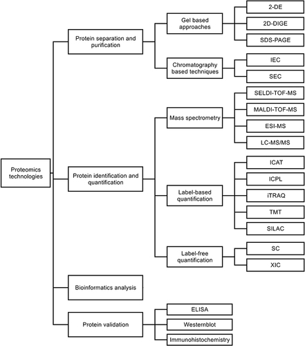 Figure 1 An overview of proteomic technology.