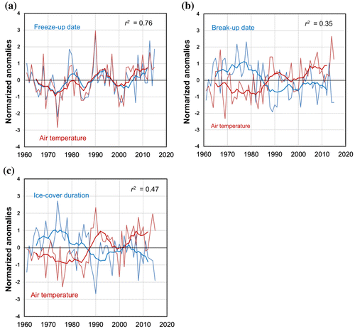 Fig. 17. Comparisons of anomaly time series for ice phenology parameters and air temperature from 1961/62 to 2015/16. All valuables are expressed as normalized anomalies (standard deviations of the measures being compared): (a) freeze-up date and the average of November and December temperatures, (b) break-up date and March temperatures and (c) ice cover duration and the average of November to March temperatures. Annual values are indicated by thin lines and eight-year running means by heavy lines; ice phenology parameters are blue and air temperatures are red. r2 is presented for the linear relationship between the ice phenology parameters and the corresponding air temperatures.