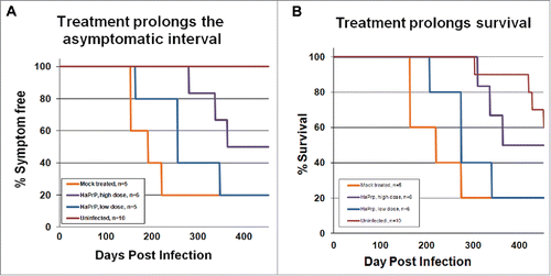 FIGURE 1. Treatment with heterologous recombinant HaPrP delayed the onset of symptoms and prolonged survival. Kaplan-Meier plots showing the time at which mock-treated (orange, n = 5), low-dose-treated (blue, n = 5), high-dose-treated mice (purple, n = 6) and uninfected (red, n = 10) developed (A) detectable symptoms associated with scrapie infection, including ataxic gait, weight loss, and kyphosis, and (B) time of survival. We tested for differences between groups using a modified version of the Gehan-Wilcoxon test and found a statistically significant difference between the mock infected group and the high dose group (p = 0.0348). The low-dose group was not significantly different than the mock-treated control group. The uninfected control mice showed significantly longer survival times than the 3 groups of infected mice; uninfected versus mock (p = 0.008), uninfected vs. low dose (p = 0.006) and uninfected versus high dose (p = 0.0201).This figure is reprinted from our original article, Skinner et al., 2015, published in PloS ONE.