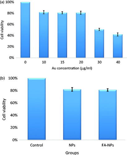 Figure 10. (a) The viability of KB cells incubated with different concentrations of nanoconjugates for 4 h. High level of cytotoxicity is observed for the concentrations greater than 20 μg/ml. (b) The viability of KB cells incubated with Fe2O3@Au (NPs) and Fe2O3@Au-FA (FA-NPs) for 4 h (concentration: 20 μg/ml).