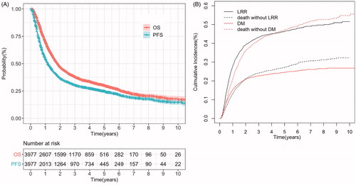 Figure 2. (A) Kaplan–Meier curves of overall survival (OS) and progression-free survival (PFS) of the whole cohort (B) Cumulative incidences of locoregional recurrence (LRR) and distant metastasis (DM) adjusted for the competing risk of death of the whole cohort.