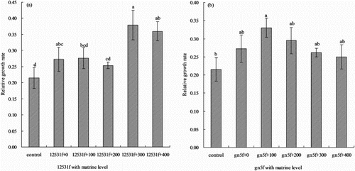 Figure 3. Effect of matrine added into fluorescent tagged rhizobia (12531f and gn5f) on alfalfa seedling relative growth rate. (a) matrine added into 12531f; (b) matrine added into gn5f. control: inoculated with sterile distilled water, 12531f + 0 to 12531f + 400: 0 mg L−1 to 400 mg L−1 matrine added into 12531f, gn5f + 0 to gn5f + 400: 0 mg L−1 to 400 mg L−1 matrine added into gn5f, respectively. Each value is the mean of five replicates and vertical bars give standard errors (SE) of the means. Different lowercase letters indicating that the mean are statistically different according to the Duncan test (P  <  0.05).