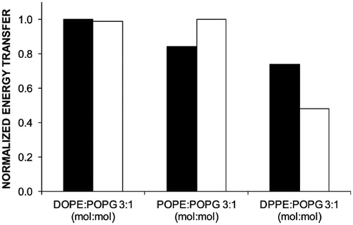 Figure 6. Comparison of normalised FRET efficiency at 37 °C between W151 of the mutant single-W C154G D68C LacY and Pyr-PE (black columns) and W151 of the single-W C154G LacY and Pyr-PE (white columns). Reprinted with permission from Suárez-Germà et al. (Citation2012b). © 2012 American Chemical Society.