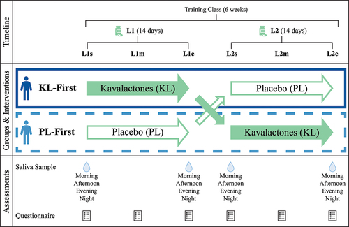 Figure 1. Study schema. This 6-week study consisted of two 14-day loading periods separated by a 10-day washout and crossover of interventions. Participants took either 225 mg kavalactones or matching placebo nightly during loading. Saliva was collected for cortisol assessment four times per day (diurnal pattern) at the start and end of each loading period. Questionnaires included the RSQ-W, DASS-21, and CRAVE instruments as well as a small number of additional questions about sleep and were completed weekly during loading. L1 = first loading period, L2 = second loading period, s = start of loading period, m = middle of loading period, e = end of loading period, KL = kavalactones, PL = placebo, KL-First (solid box) = the group of participants who began the study taking kavalactones and switched to placebo (L1 N = 8, L2 N = 6), PL-First (dashed box) = the group of participants who began the study taking placebo and switched to kavalactones (N = 7).