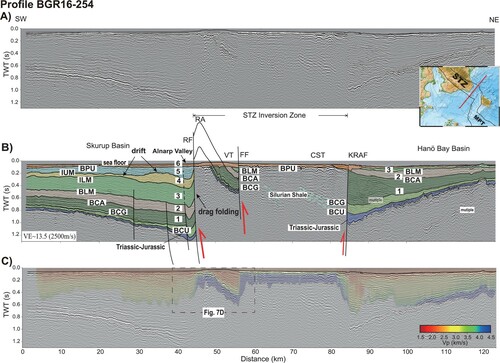 Figure 6. A. Migrated MSC Profile BGR16-254. Bathymetric seafloor is drawn in black on top of the profile, complementing the uppermost unimaged portion. B. Interpreted MSC profile BGR16-254 showing the shallow architecture of the Skurup Basin, the STZ and the Hanö Bay Basin. The central STZ inversion zone is characterized by an up-thrusted basement block. Red arrows indicate the fault kinematics in the Late Cretaceous-Paleocene inversion. C. Migrated MSC Profile BGR16-254 with superimposed velocity model. CST: Colonus Shale Trough, FF: Fyledalen Fault, KRAF: Kullen-Ringsjön-Andrarum Fault, RF: Romeleåsen Fault, VT: Vomb Trough. Location is shown in Figs 1 and 2 by labeled red line. VE: vertical exaggeration, calculated assuming a constant velocity of 2500 m/s.
