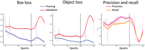 Figure 4. Summary of the training metrics development over the epochs. The black vertical line represents the 199th epoch. The validation data correspond to the subset of the modeling data.