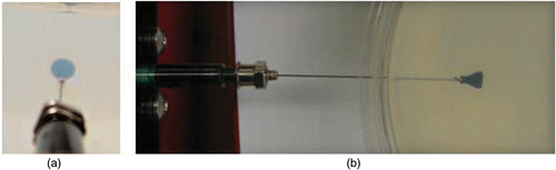 Figure 1. The nanoparticles distribution inside the gel at the beginning of the injection: (a) side view, (b) top view.