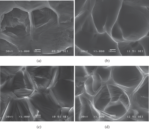 Figure 4 Microstructure of fresh garlic (a), garlic dried at 40°C (b), at 50°C (c), and at 60°C (d).