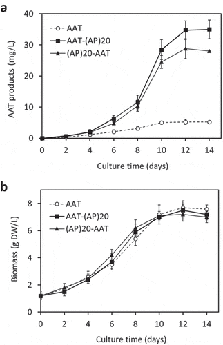 Figure 3. Time course of cell growth and AAT product secretion of the transgenic BY-2 cell cultures. (a) Secreted AAT products in the culture media; (b) Cell biomass accumulation. The error bars represent the standard deviation of three parallel cultures.