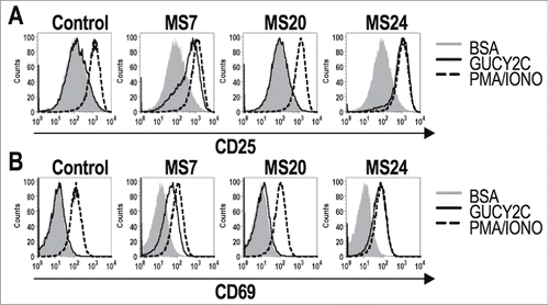 Figure 2. GUCY2C-specific CARs mediate antigen-dependent T cell activation. 1 × 106 CAR-expressing T cells were stimulated for 6 h with plate-coated antigen (BSA or GUCY2C) or PMA and Ionomycin (PMA/IONO). T cell activation markers CD25 (A) and CD69 (B) were quantified by flow cytometry. Histograms are gated on live CD8+GFP+ T cells. Results are representative of three experiments.