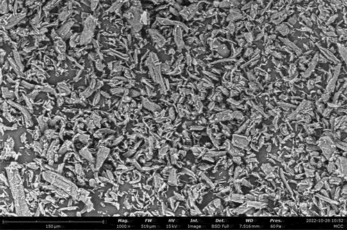 Figure 1. SEM image of MCC.