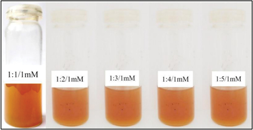 Plate 13. Reaction mixtures after placing them at 60°C/4h with 1mM reagent concentration and different plant extract volumes.