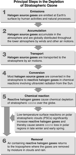 Figure 2. The principal steps in the depletion of stratospheric ozone (Fahey and Hegglin, 2011).