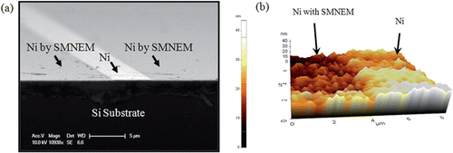 Figure 2. (a) SEM image and (b) 3D AFM image of a Ni metal ridge after SMNEM.