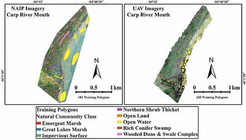 Figure 4. Natural habitat communities training and testing polygons for CRM study area.