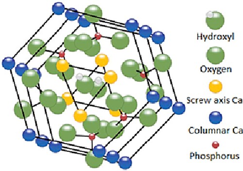 Figure 1. Crystalline structure of hydroxyapatite [Citation21].