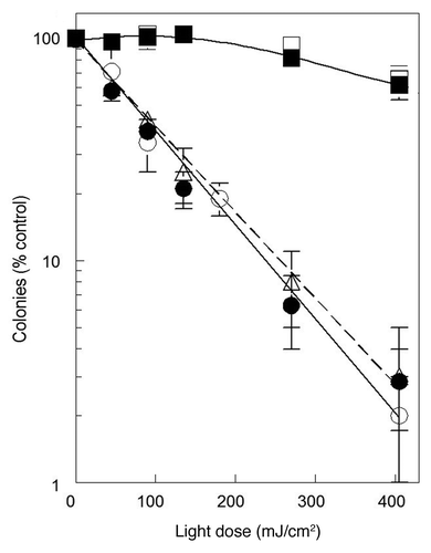 Figure 3. Effects of WST11 and NPe6 on 1c1c7 survival. Cultures of wild type (●, ○), ATG7 KD (■, □), and ATG5 KD (△) 1c1c7 cells were sensitized with 1 μM WST11 for 16 h (●, ■, △) or 20 μM NPe6 for 1 h (○, □) prior to being irradiated for different lengths of time to achieve the indicated light doses. Results with ATG5 KD cells are indicated by a dashed line. Colonies of 30 or more cells were determined 5 d later. Data are normalized to no-treatment controls and represent mean ± SD of three determinations. Similar results were obtained in a second independent experiment.