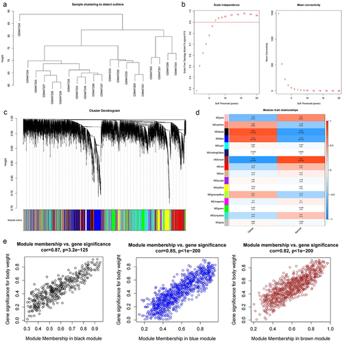 Figure 2. The co-expression modules analysis in the GSE2508 dataset. (a) clustering dendrogram of 20 samples. (b) left: the relationship between the scale-free fit index and various soft-thresholding powers; right: the relationship between the mean connectivity and various soft-thresholding powers. (c) clustering dendrogram of genes, various colours represent different modules. (d) the relationship of 2 traits and 16 modules. (e) the scatterplot describing the relationship between module membership and gene significance in black, blue, brown module.