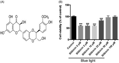 Figure 1. The chemical structure of silibinin and its effects on RGCs in blue light. (A) The chemical structure of silibinin. (B) The cell viability of RGCs in control, blue light and blue light in combination with different concentrations of silibinin. The cell viability was determined by the MTT assay. The bars indicate the SD; n = 6, in terms of independent wells; **p < .001.
