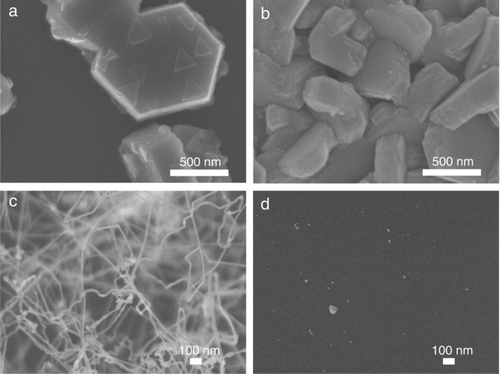 FIG. 3 FESEM images of GaN nanostructures deposited at the flow rate of (a) 400 sccm, (b) 200 sccm, (c) 50 sccm, and (d) 0 sccm of the ammonia at a reactor temperature of 1100°C.