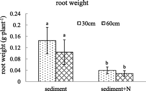 Figure 2. The root weight (mean ± SE) of V. spinulosa growing on different sediments at two water depths. Different small letters above columns indicate significant differences between treatments.