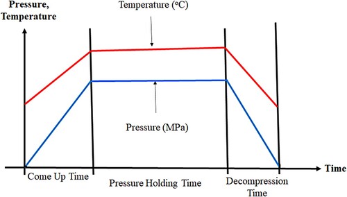 Figure 2. Pressure and temperature effect profile during HHP of food (Muntean et al., Citation2016).