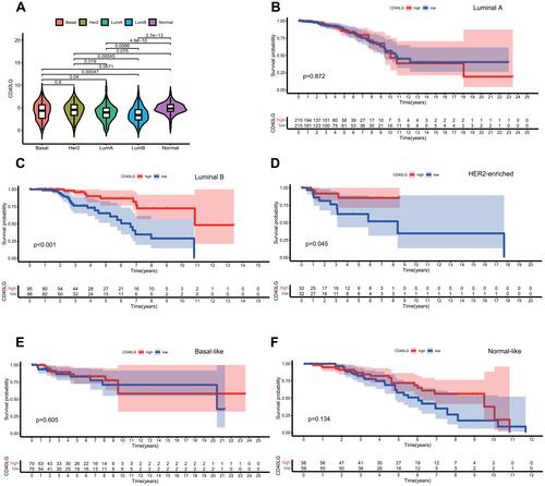 Figure 6 Analysis of PAM50 molecular subtypes and CD40LG. (A) The expression of CD40LG in each molecular subtype. (B) Survival curve of luminal A stratified by CD40LG expression. (C) Survival curves of luminal B stratified by CD40LG expression. (D) Survival curves of HER2-enriched stratified by CD40LG expression. (E) Survival curves of basal-like stratified by CD40LG expression. (F) Survival curves of normal-like stratified by CD40LG expression.